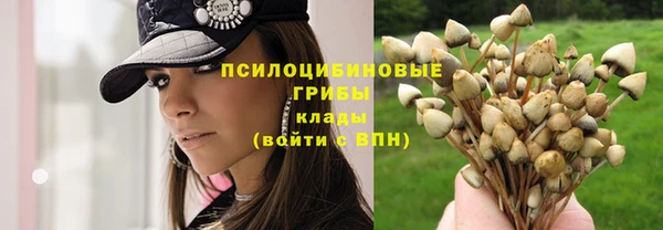 a pvp Козельск