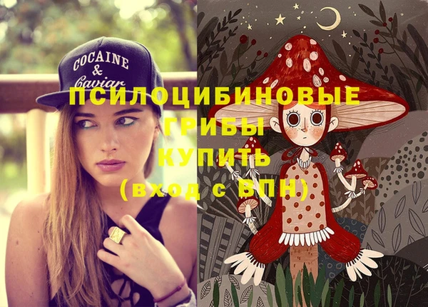apvp Козловка